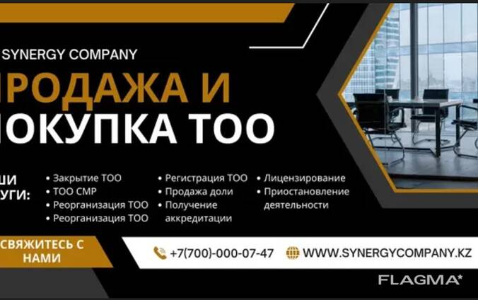 SYNERGY COMPANY - Продажа готовых ТОО по всему Казахстану (synergycompany. kz)