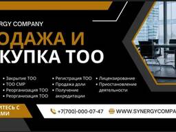 SYNERGY COMPANY - Продажа готовых ТОО по всему Казахстану (synergycompany. kz)
