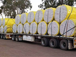 Танзания шикі мақта