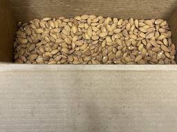 Миндаль Tashkent_fruits