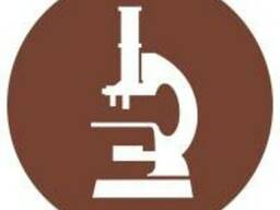 Технадзор в строительстве промышленных объектов