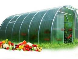 Теплица "Удачная Классик" СПК Беролюкс 8 мм