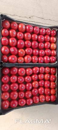Тепличные помидоры из Туркменистана Premium quality!