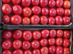 Тепличные помидоры из Туркменистана Premium quality!