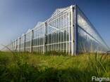 Теплицы, промышленные теплицы, проектирование, строительство - фото 3