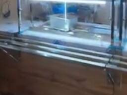 Тип мармит для холодного блюда. Линии раздачи