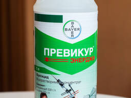 Тоо с лицензий