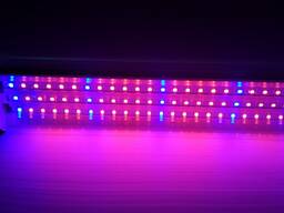 Трехрядная линейная фитолампа 25 W красный синий 5:1