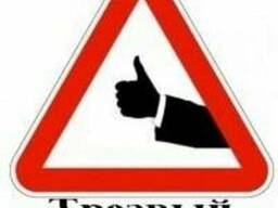 Трезвый водитель