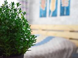 Удачный вариант студии на Жарокова-Си Синхая.