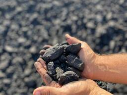 Уголь экибастузский / Разрез Восточный