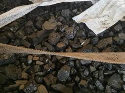 Уголь каменный, бурый, угольный кокс