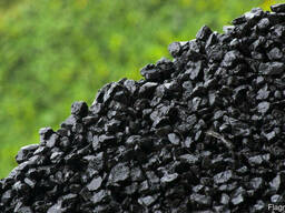 Уголь Шубарколь все марки