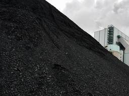 Угольный концентрат