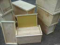 Улья. Пчелы