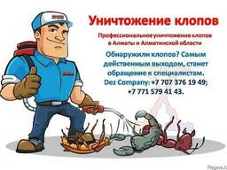 Уничтожение клопов в Алматы