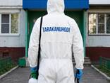 Уничтожение тараканов, клопов, крыс и мышей и прочих вредителей - photo 1