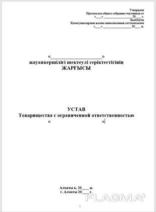 Устав, Протокол, Решение, Исковое заявление, Претензии.