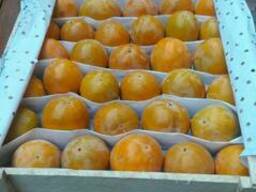 Узбекские фрукты