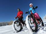 Велосипед Fatbike Фэтбайк Forrd, Stels, Stark Астана, Кредит, Рассрочка! - фото 5