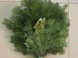 Веники