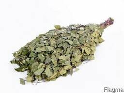 Веники березовые