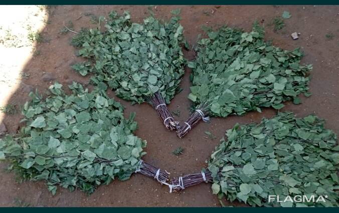 Веники берёзовые для бани сауны