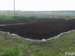 Вермикуляция