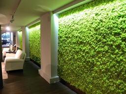 Вертикальное озеленение г. Астана