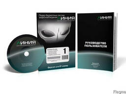 Видеонаблюдение Линия IP