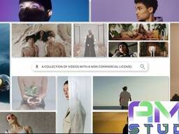 Видеоролик анимации поисковой строки заказать в Астане(ELEMENTS_1)