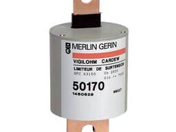 Vigilohm Разрядник Cardew патронного типа 50183 Schneider Electric