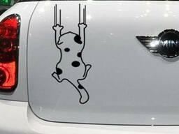 Виниловые наклейки на авто