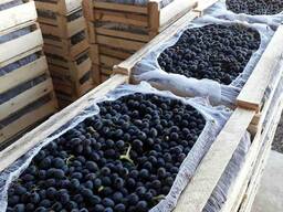 Өзбекстаннан әртүрлі сортты жүзім, 2025 ж