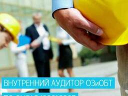 Онлайн-курс "Внутренний аудитор по ISO 45001:2018"