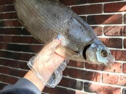 Вобла вяленая