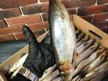 Вобла вяленая - фото 2
