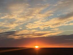 Возьму в аренду вагоны