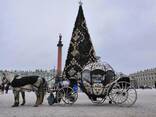 Возьмём Новогоднюю Карету В Аренду!!! - photo 6