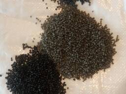 Вторичная гранула Пнд и Пвд