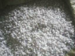 Вторичные гранулы