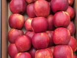Яблоки - photo 1