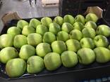 Яблоки Голден от производителя в Польше - photo 3