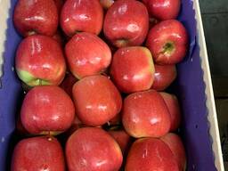 Яблоки из Польши