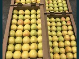 Яблоки оптом