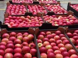 Польские Яблоки