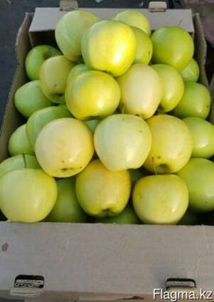 Яблоки сорта Golden Delicious ( Золотой превосходный)
