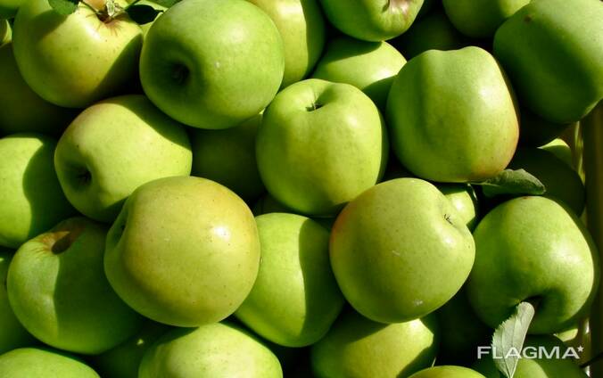 Яблоко Мутсу (Mutsu) from Poland