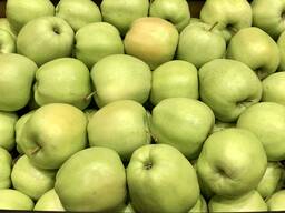 Яблоко Poland / Голден, Ред Принц, Гала