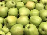 Яблоко Poland / Голден, Ред Принц, Гала - фото 1